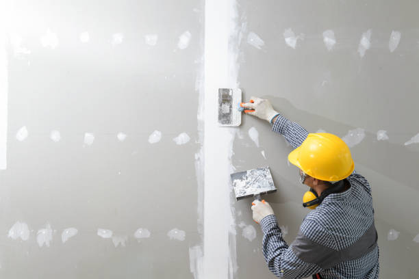 Reliable Arvada, CO Drywall & Painting Services Solutions